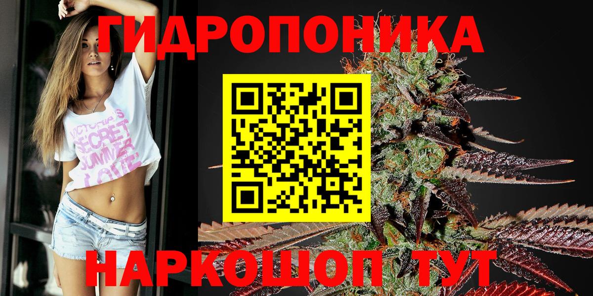 Кудрово  Шишки марихуана тримм  Вход с VPN  Каннабис White Widow 
